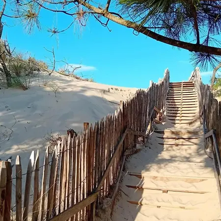 Apartament Sc H01 By Interhome *