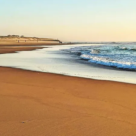 Sc H01 By Interhome *