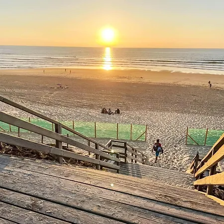 Sc H01 By Interhome *