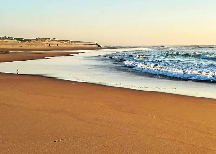 Sc H01 By Interhome *